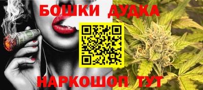 крисы Малоярославец