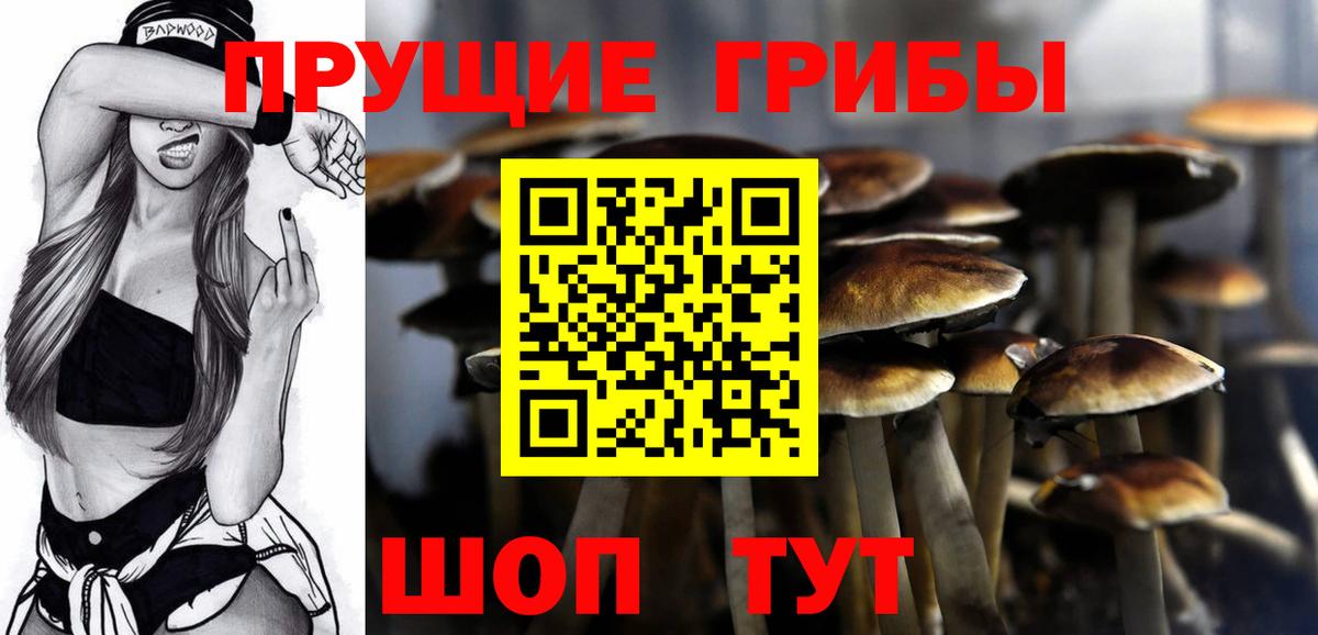 Псилоцибиновые грибы Magic Shrooms Шебекино